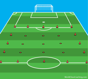 Field-Layout