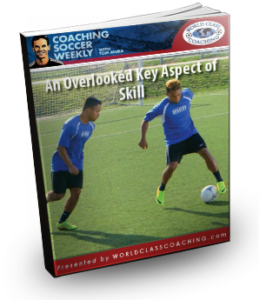 074anoverlookedkeyaspectofskillcover